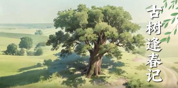 古树逢春记