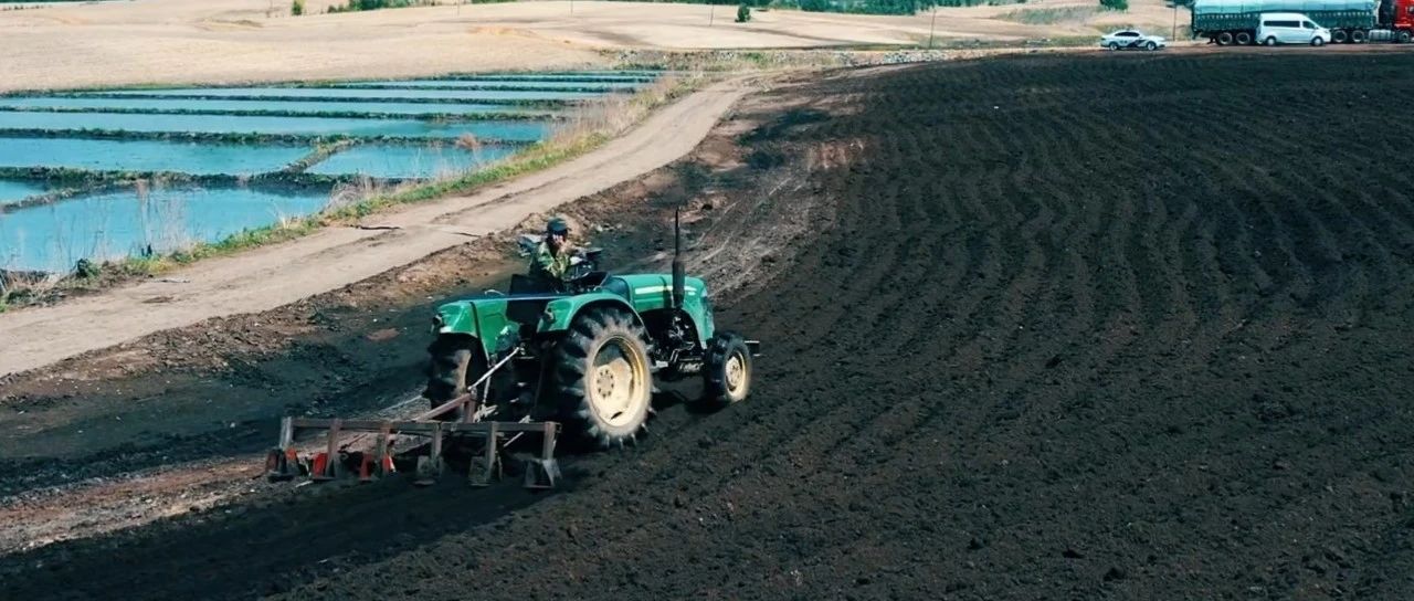 为了黑土地的期盼
