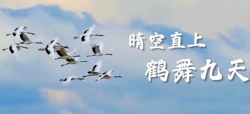 守正致远 鹤领风华