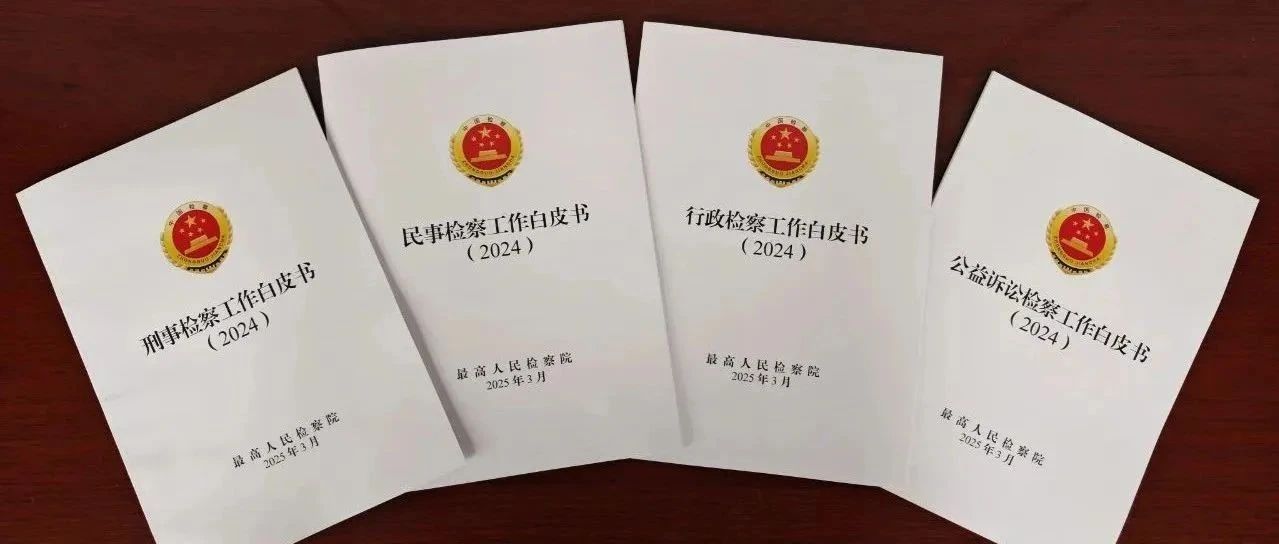 最高检发布2024年“四大检察”工作白皮书：透过数据和案例看“2024检察答卷”