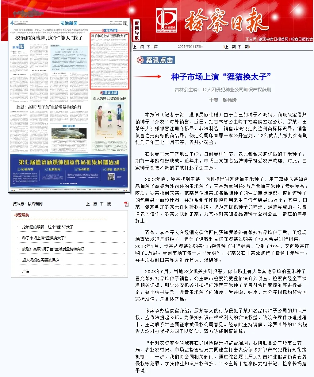 检察日报丨种子市场上演“狸猫换太子”.webp.jpg 老虎机777