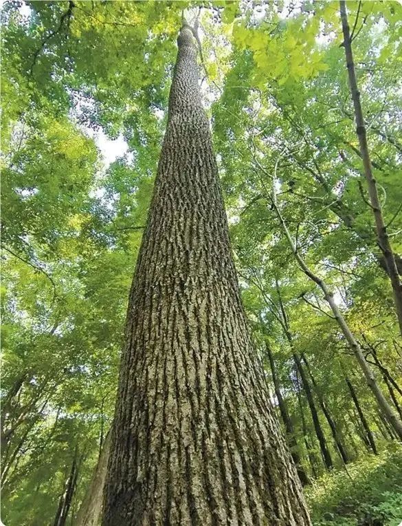 640.jpg 老虎机777